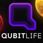 Qubit life