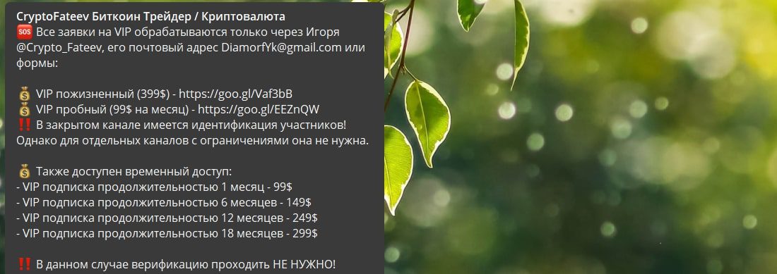 Телеграмм канал CryptoFateev
