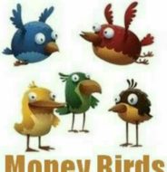 Money Birds