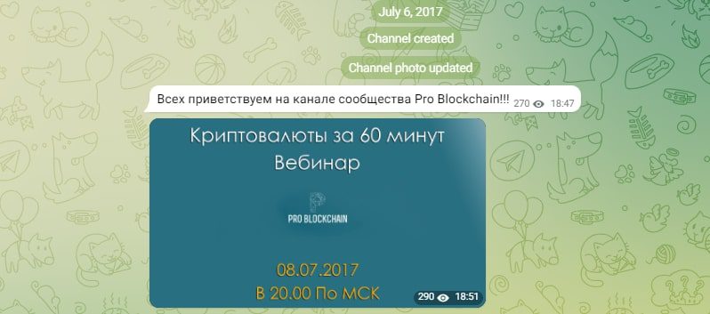 Телеграмм канал Pro Blockchain