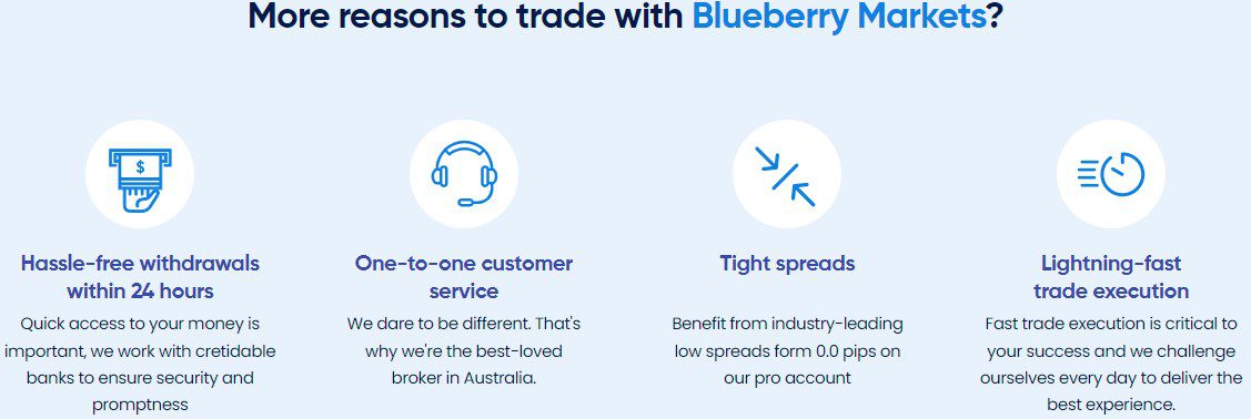 Проект Blueberry Markets