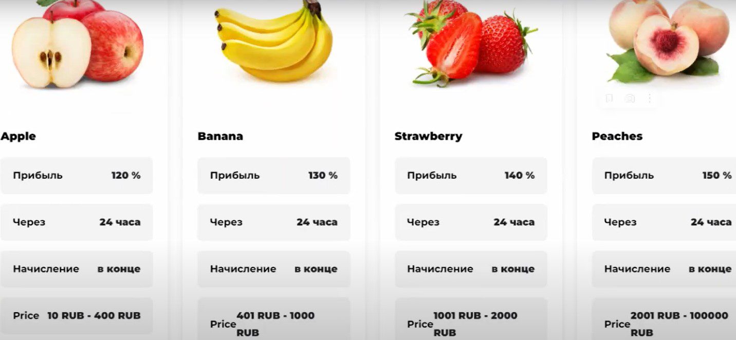 Fruit Profit Website НФТ