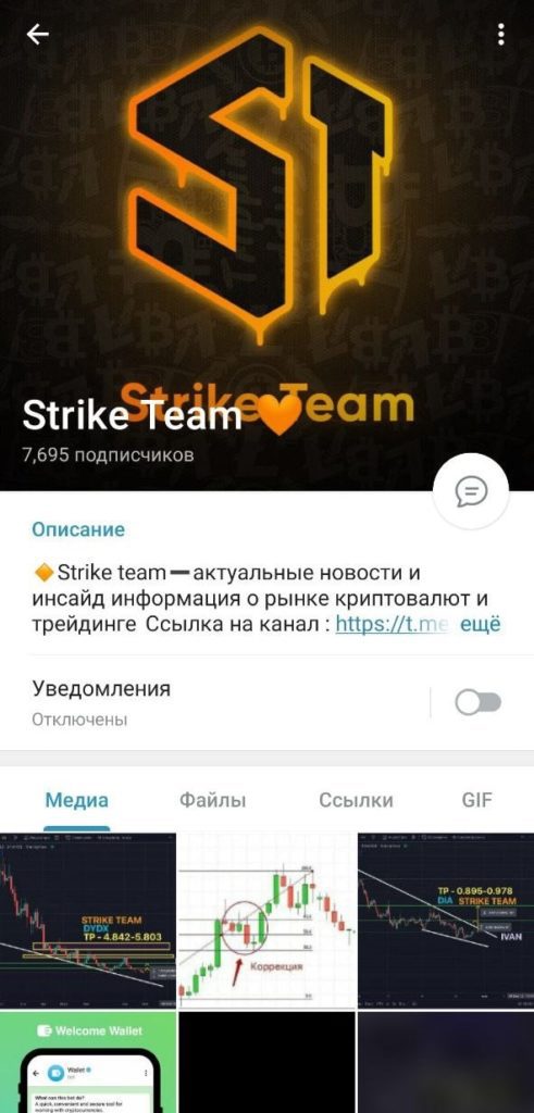 Телеграмм канал Strike Team