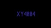 XY4004 one