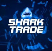 Shark Trade
