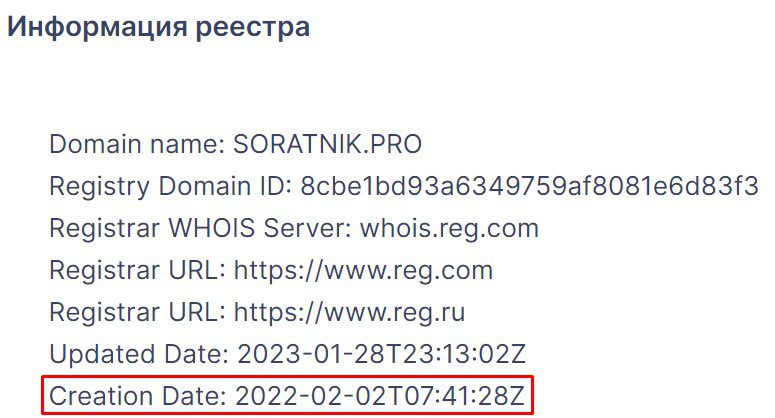 Реестр компании домен сайта Soratnik.pro