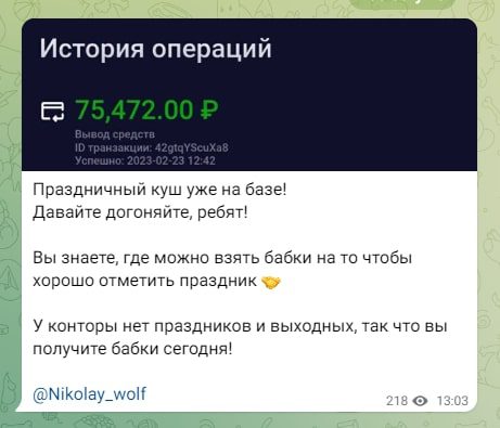 Nikolay Wolf телеграмм