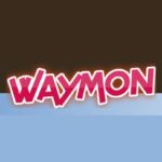 Waymon fun инвестиционная платформа