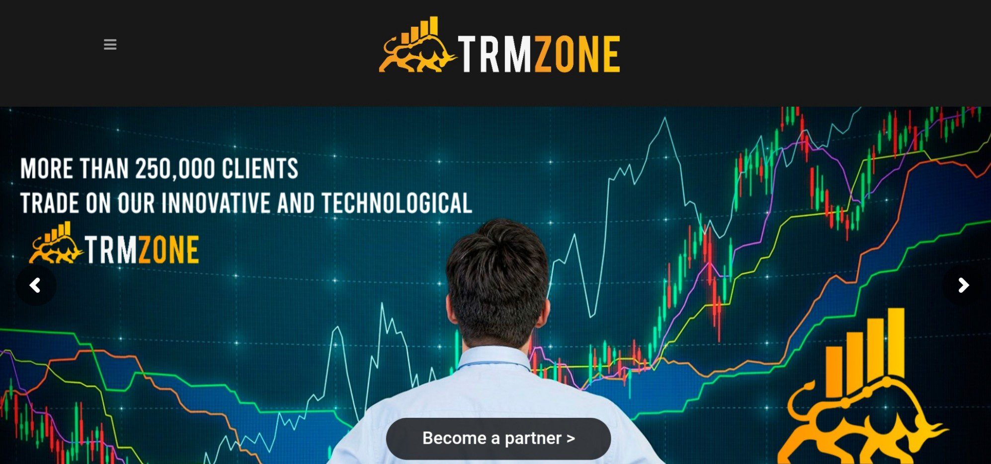 Обзор сайта Trmzone