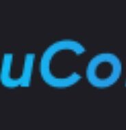 Youcoinit.com