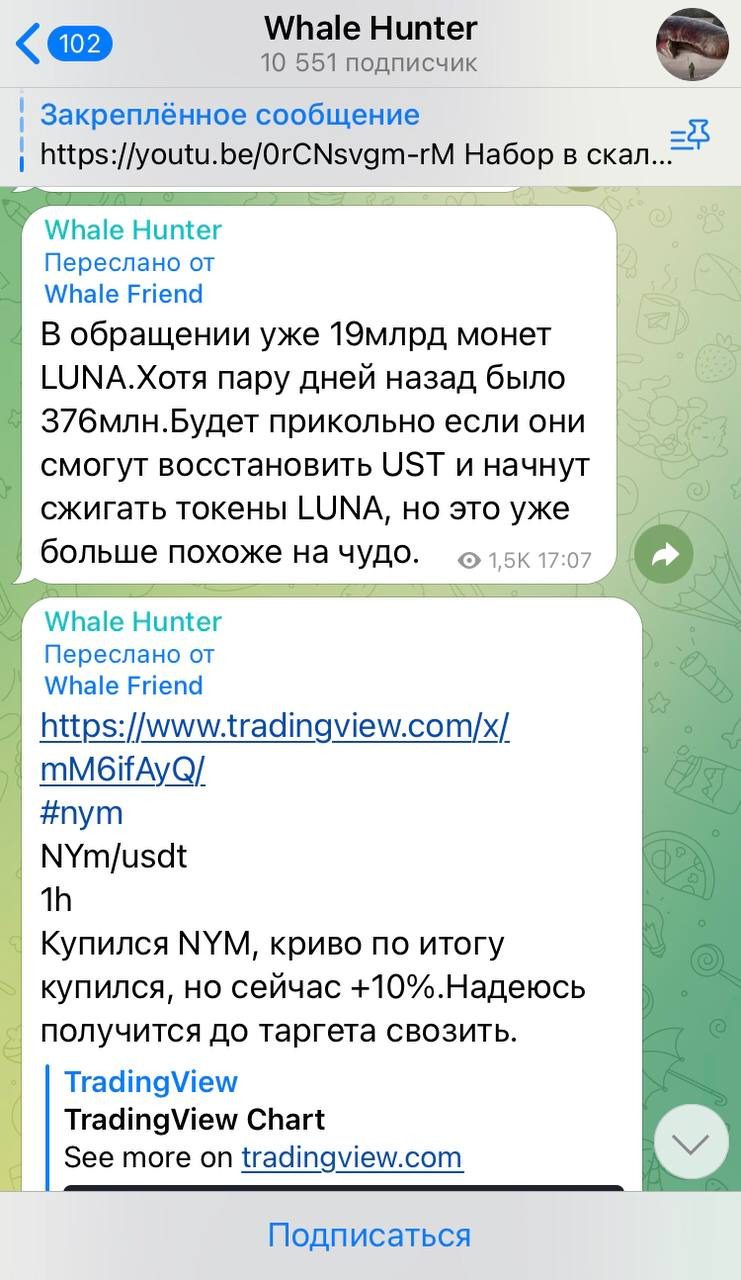 Новости на Телеграмм канале Whale Hunter