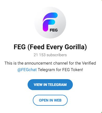 FEG – Телеграм-канал