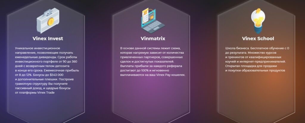 Vinex Trade обзор проекта