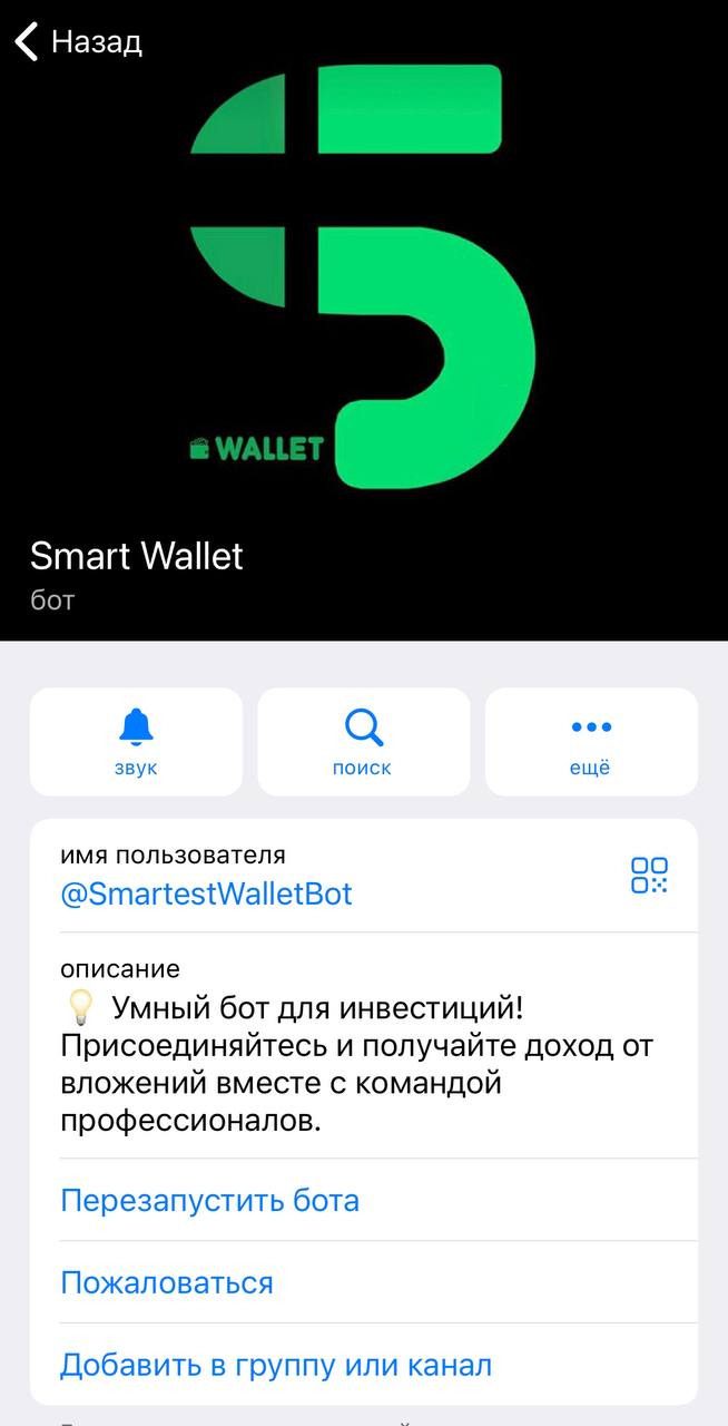 Информация о канале Smart Wallet Телеграмм