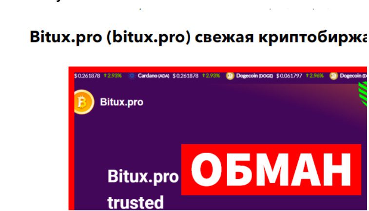 Сайт проекта Bitux Pro