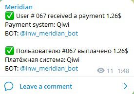 INW Meridian Bot отзывы