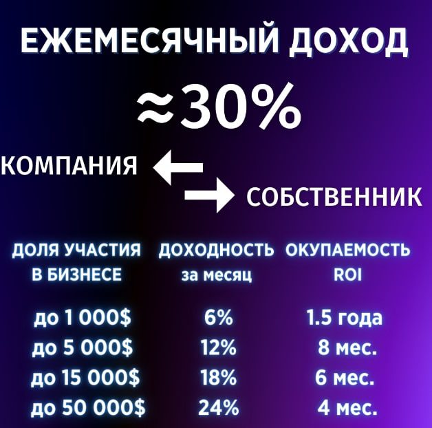 Soft Invest Денис Рындин ежемесячный доход