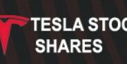 Tesla Stock Shares