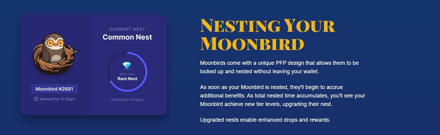 NFT Moonbird хранятся in-chain