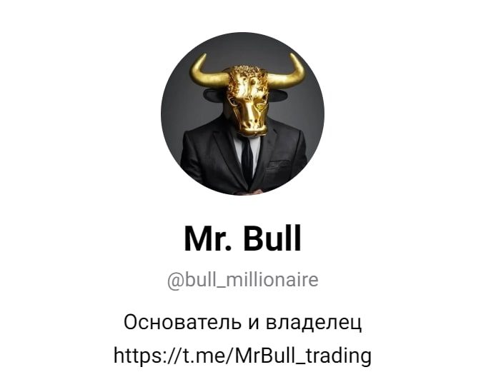 Mr. Bull Trading инфо
