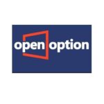 OpenOption