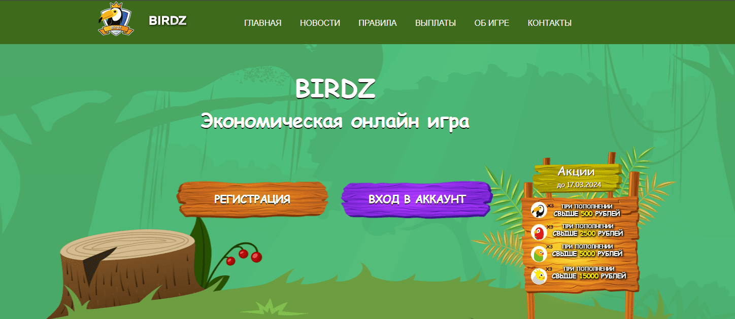 birdz money